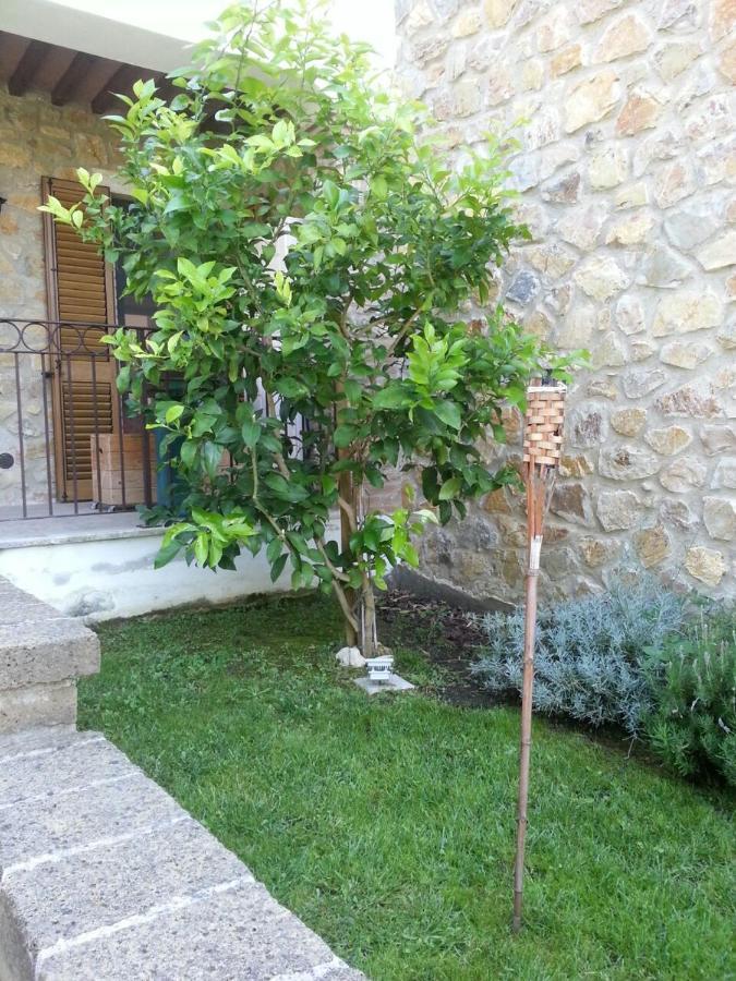 דירות Capanne Il Poggio Da Leo מראה חיצוני תמונה